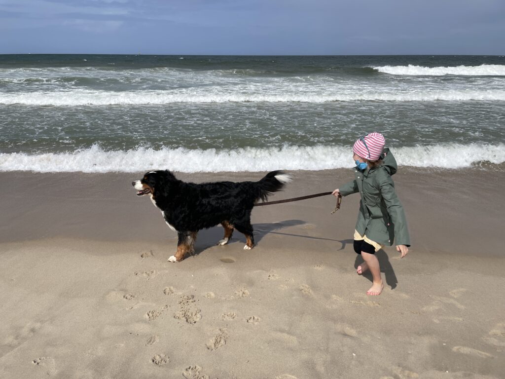 Steigern Sie den Kundenstamm und vermuten Sie Ihr Ferienhaus mit Hund. Urlaub mit Hund wächst enorm.